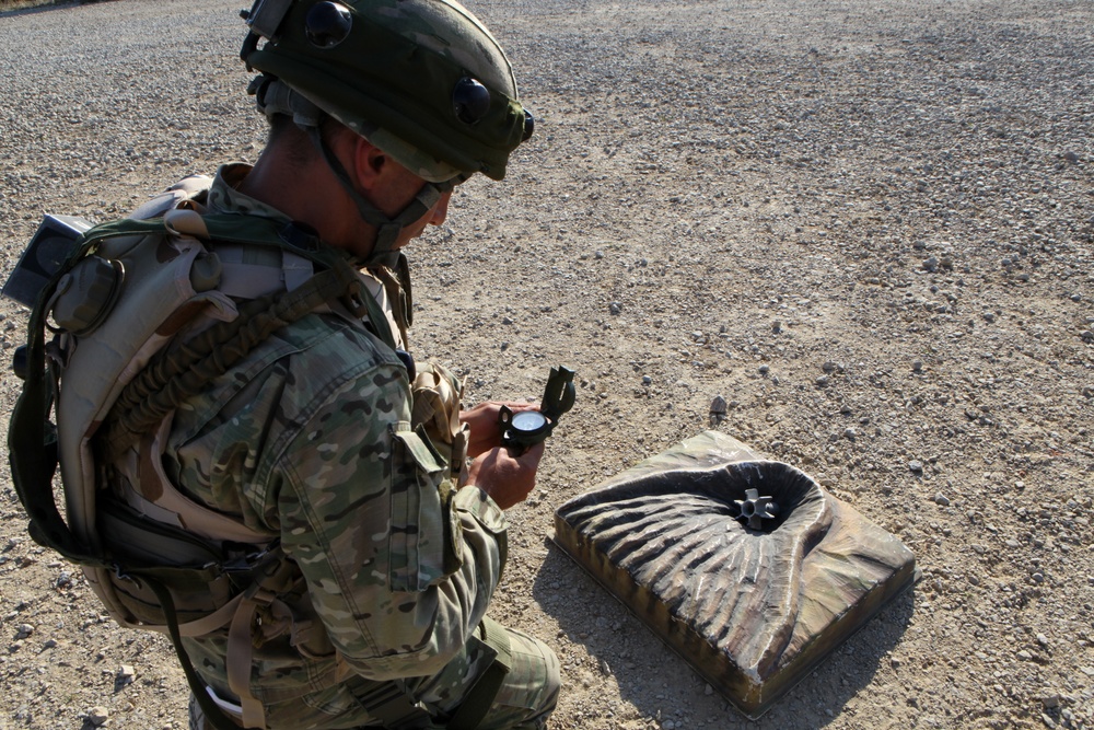 Regimental Combat Team mission rehearsal exercise