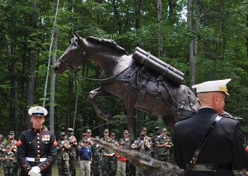 Staff Sergeant Reckless Monument Dedication