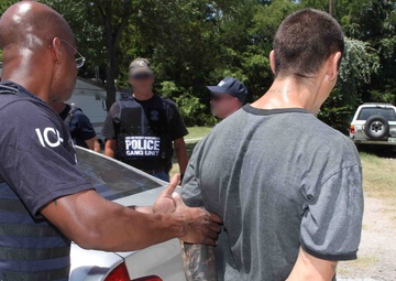 HSI arrests 263 gang members