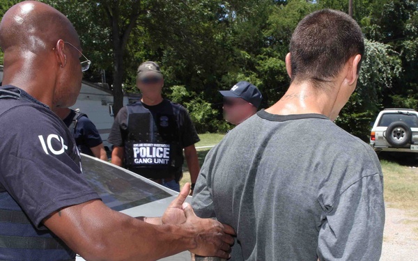 HSI arrests 263 gang members
