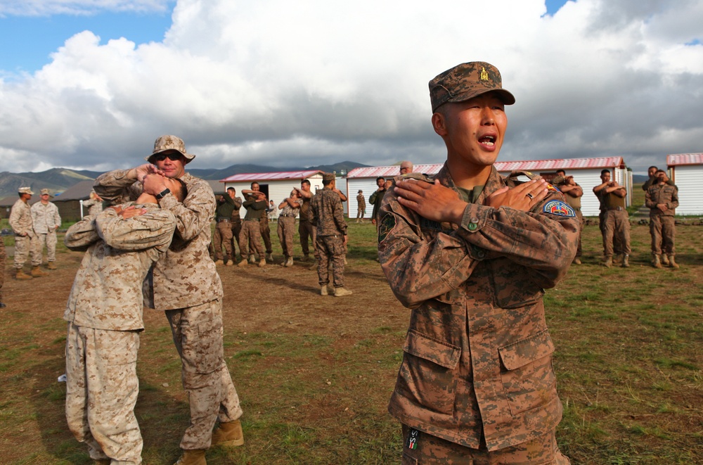 Mongolian troops, police rehearse non-lethal pressure point techniques – NOLES 2013