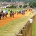 10 UK destinations for equine enthusiasts