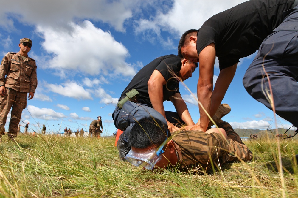 OC Spray Qualification Course – NOLES 2013