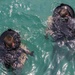 26th MEU Force Recon Amphibious Operations Training