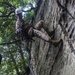 22nd MEU BLT Marines climb to the top in SOTG assault climbers course