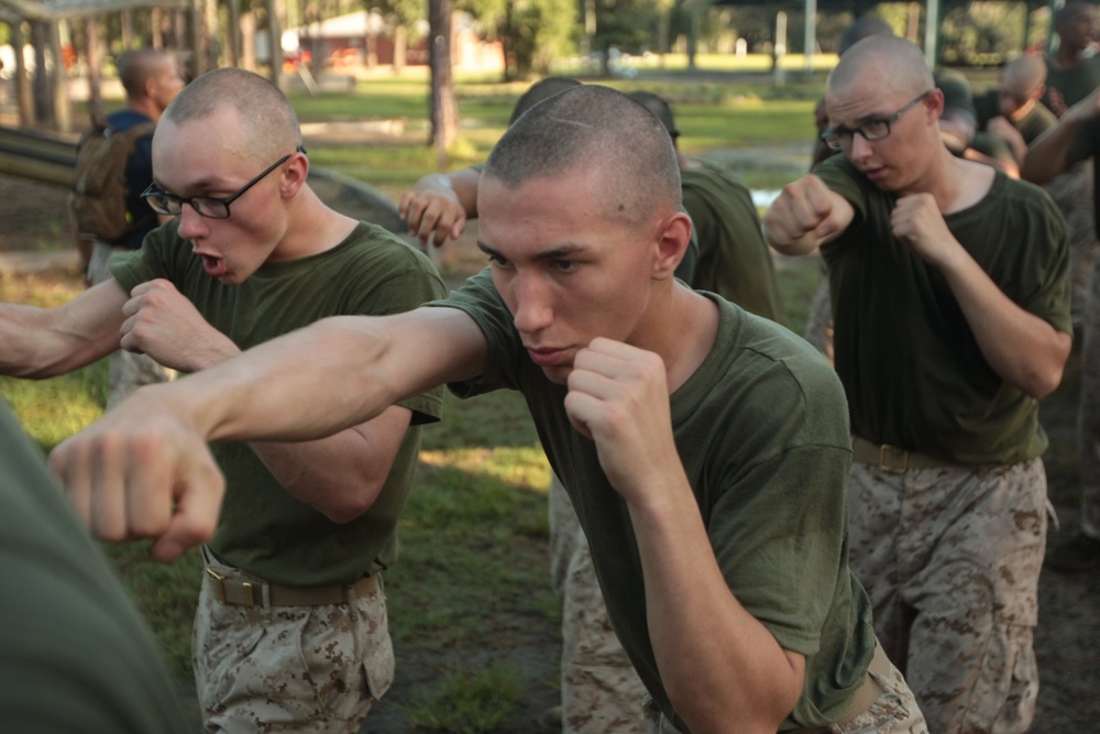 Rising Sun, Md., native training at Parris Island to become U.S. Marine