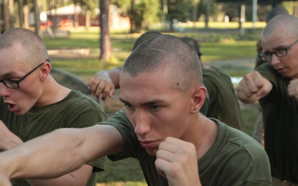 Rising Sun, Md., native training at Parris Island to become U.S. Marine