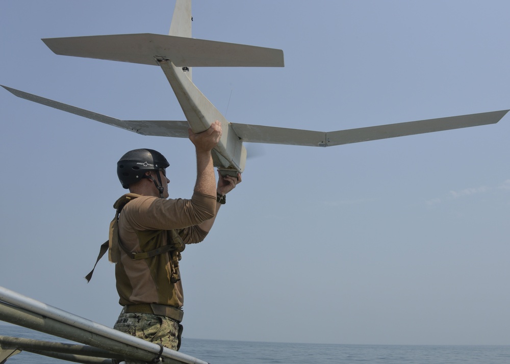 Commander, Task Group 56.7.4, Coastal Riverine Squadron 4, Puma AE unmanned aerial vehicle training