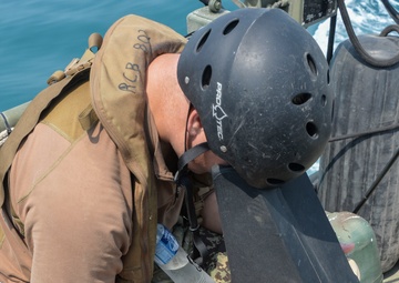 Commander, Task Group 56.7.4, Coastal Riverine Squadron 4, Puma AE unmanned aerial vehicle training