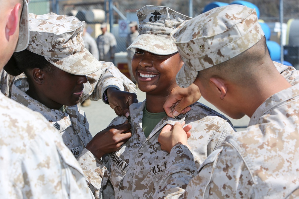 Marines stand tall during promotion ceremony