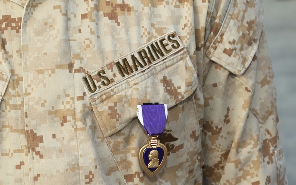 Marines recognized for actions during deployment