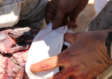 3rd Bn., 7th Marines hone counterinsurgency tactics