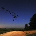 JRTC 13-09 night air drop onto Geronimo