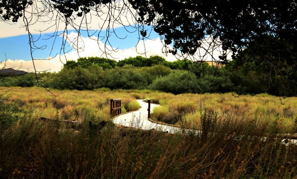 A Hidden Desert Oasis