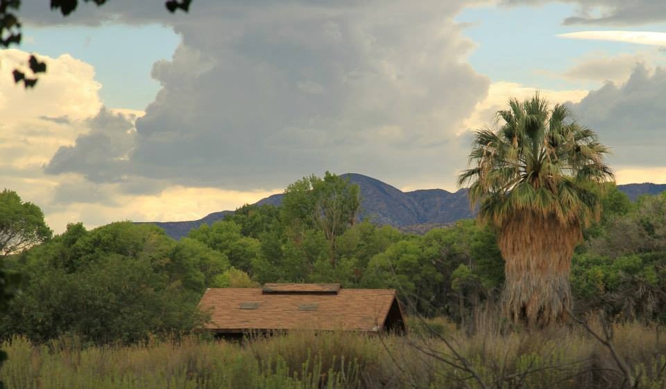 A Hidden Desert Oasis