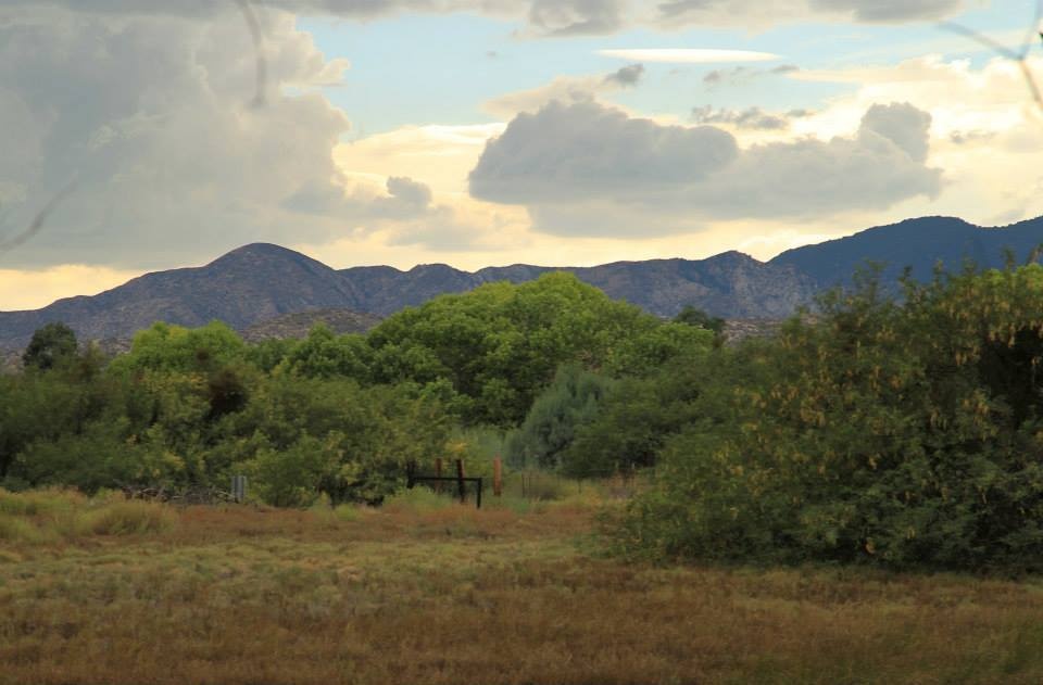 A Hidden Desert Oasis