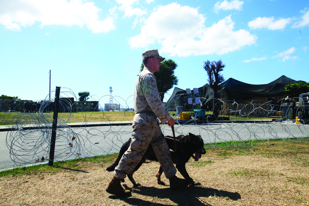 Marines ensure security posture with K-9s