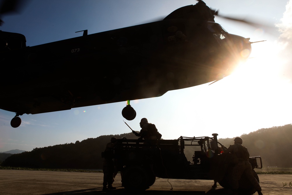 U.S. Marines, sailors, soldiers conduct joint helicopter training