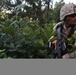 U.S. Marines, sailors, soldiers conduct joint helicopter training