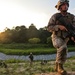 U.S. Marines, sailors, soldiers conduct joint helicopter training