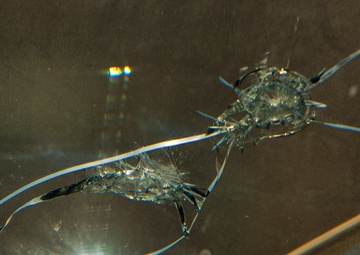 Through their eyes: Armored vehicle driver in Afghanistan