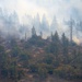 California National Guard help battle the Rim Fire near Yosemite