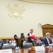 House Foreign Affairs Committee Syria hearing - Sept. 4, 2013