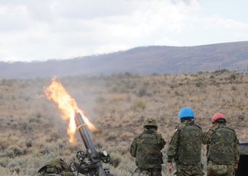 Combined mortar training between American and Japanese forces