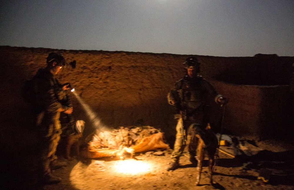 Coalition force members conduct operation in Helmand province