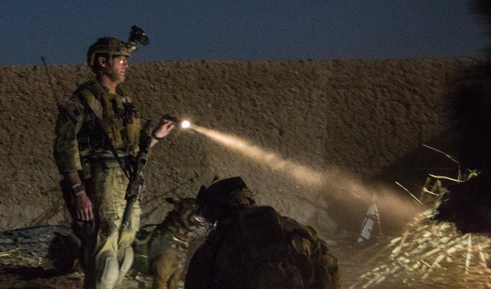 Coalition force members conduct operation in Helmand province