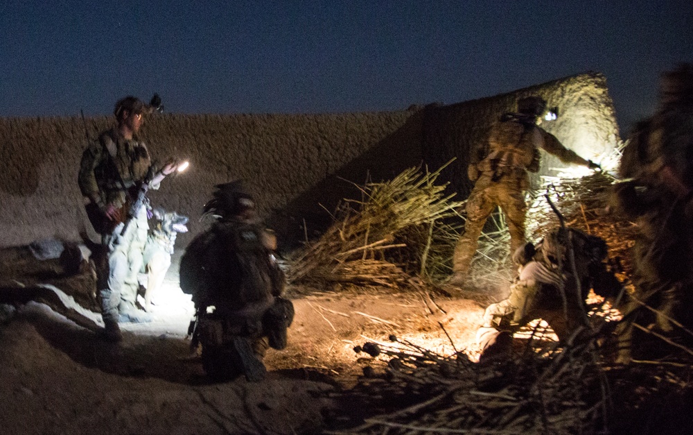 Coalition force members conduct operation in Helmand province