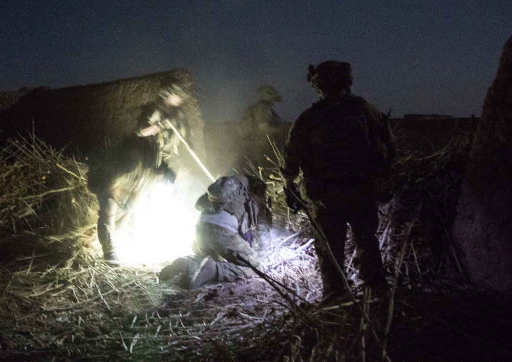 Coalition force members conduct operation in Helmand province