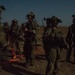 Coalition force members conduct operation in Helmand province