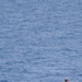 USS Nimitz action