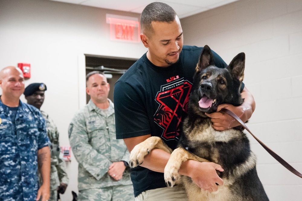Wounded warrior adopts four-legged partner, friend