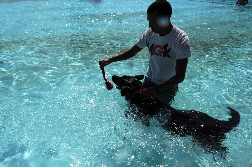 Security Forces conducts K-9 water training
