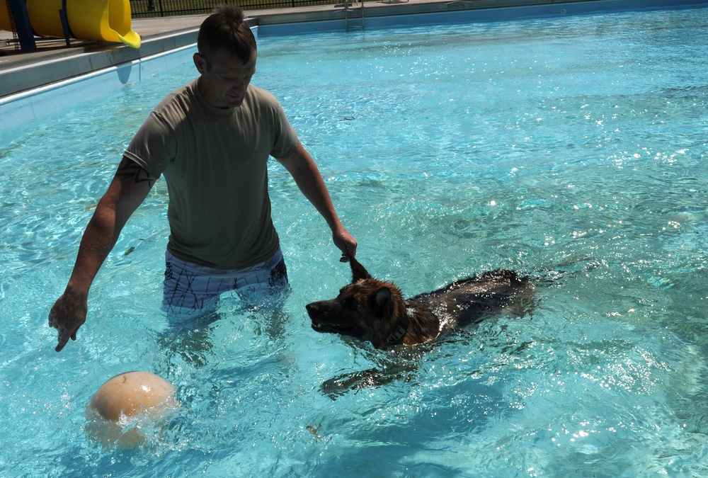 Security Forces conducts K-9 water training