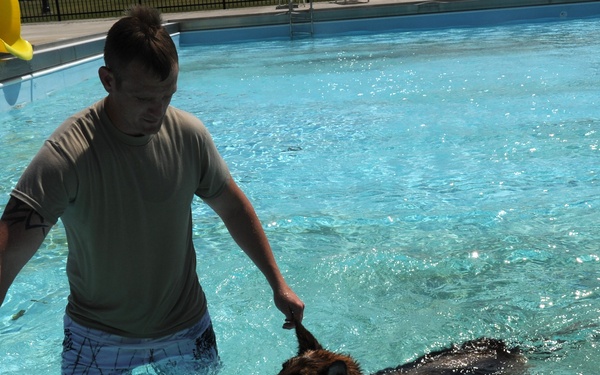 Security Forces conducts K-9 water training