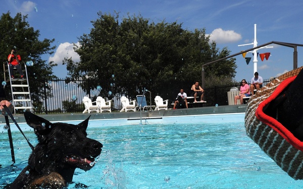 Security Forces conducts K-9 water training