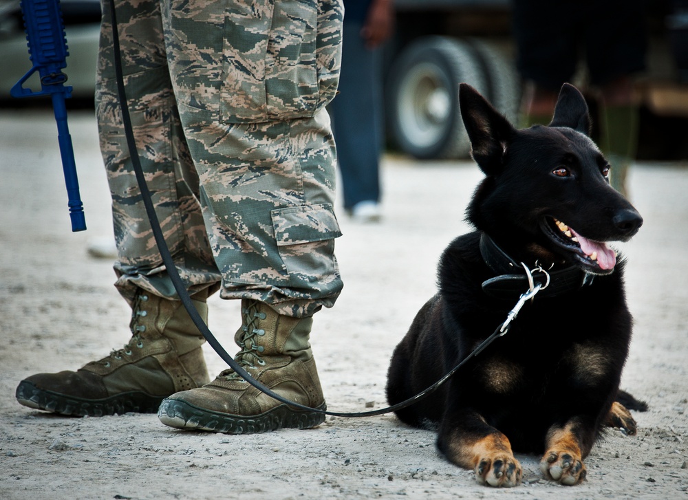 Team Eglin honors fallen defenders with ruck march