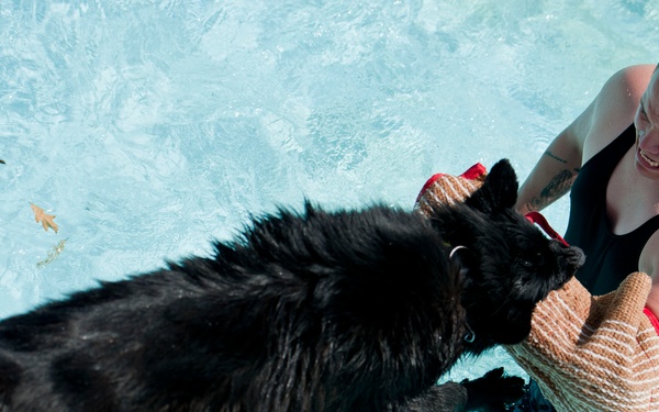 Security Forces conducts K-9 water training