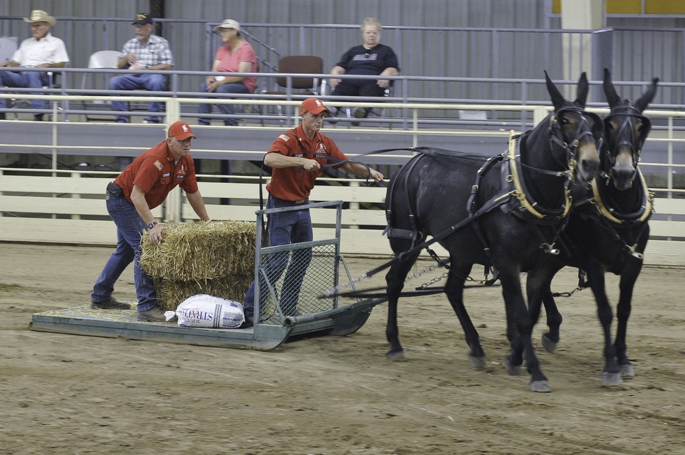 Mounted Color Guard takes home ribbons in horsemanship competition at 100th Kansas State Fair