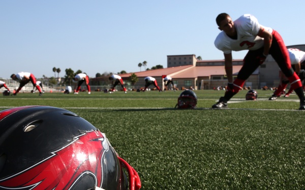 Spartans fall prey to Falcons