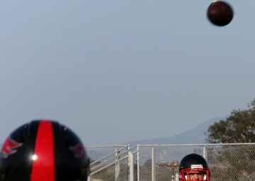 Spartans fall prey to Falcons