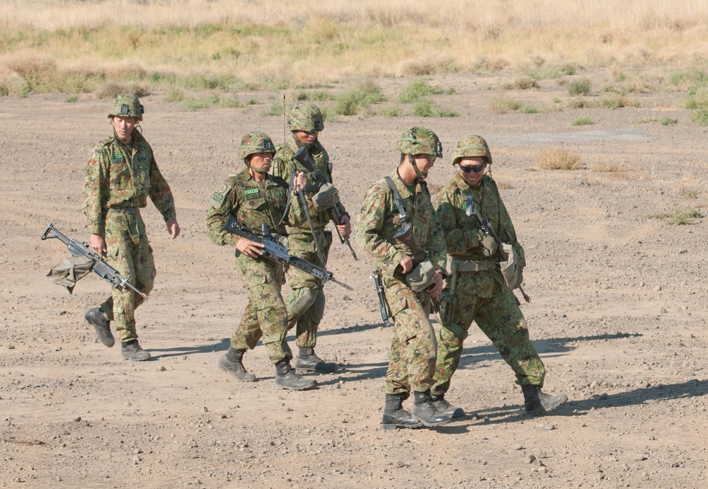 US and Japan conduct cooperative live-fire exercise