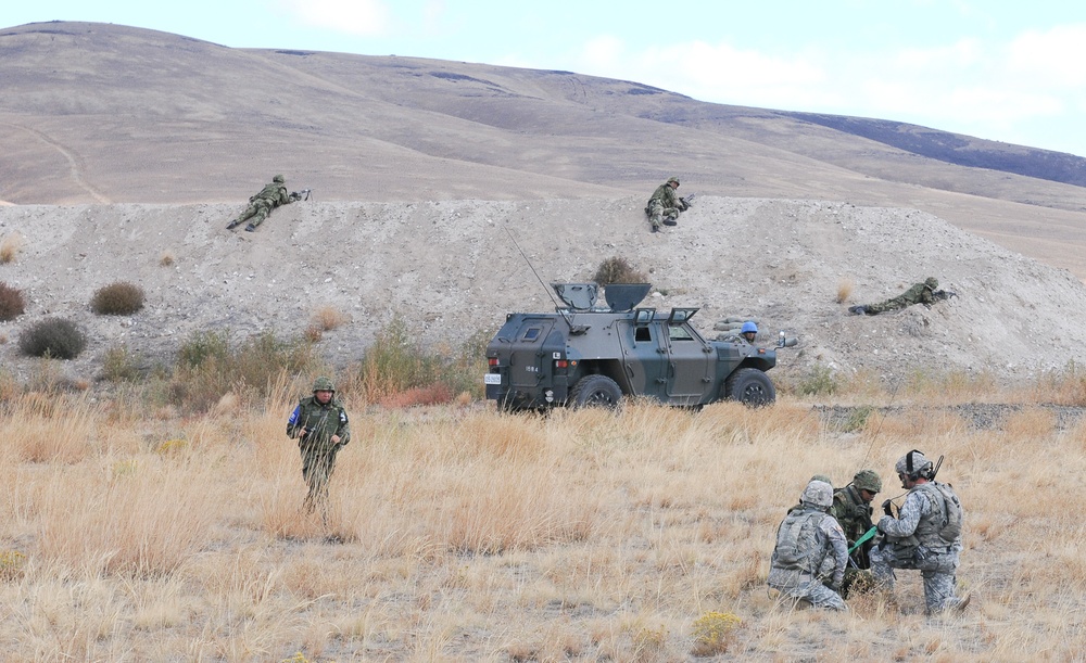 Operation Rising Thunder 13: Day 13, platoon level joint training exercise.