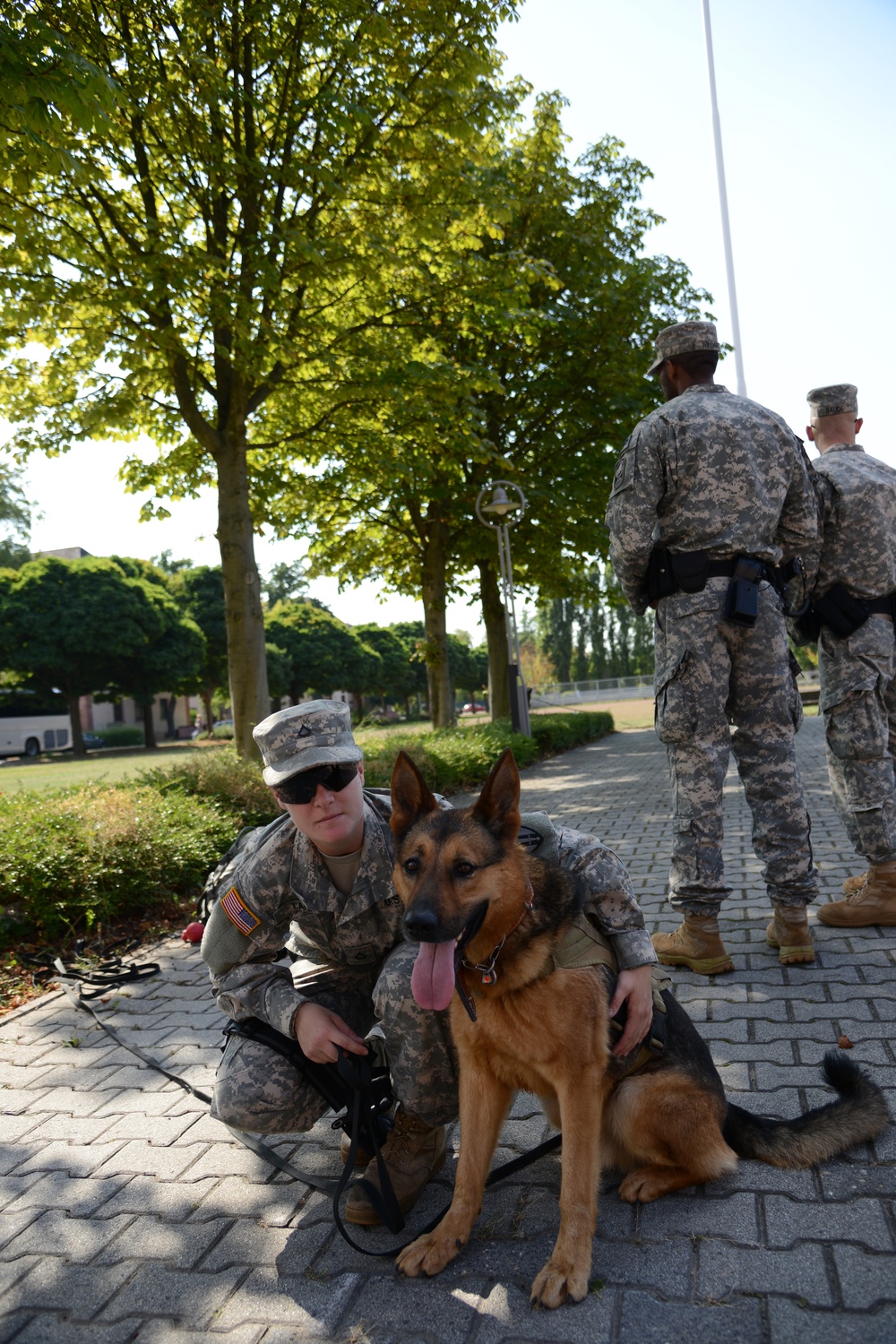 Working dogs, the Army's unsung heroes