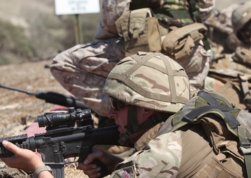 Marines, British Commandos conduct Exercise Burmese Chase 2013