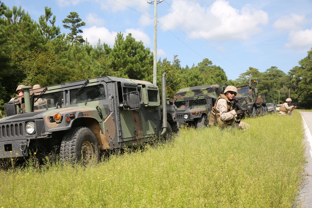 Mission Readiness: CLR-25 conducts field exercise