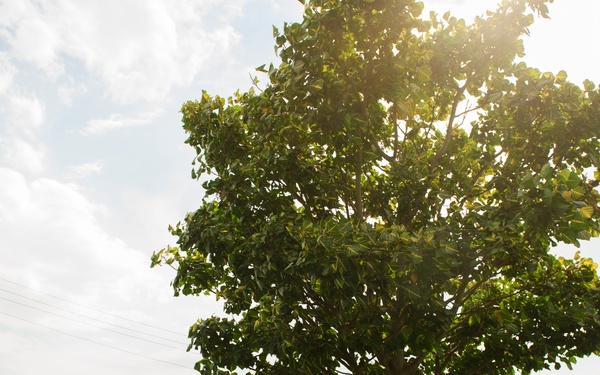 Course to better Uganda People's Defense Force